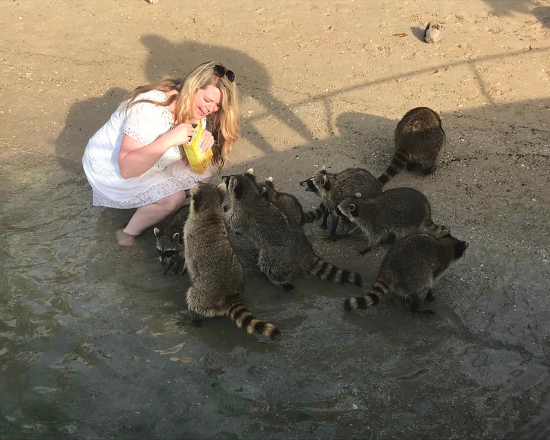 3-Hour Raccoon Island Cruise From Miami Beach