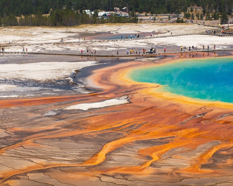 Yellowstone & Grand Teton Full-Day Guided Tour