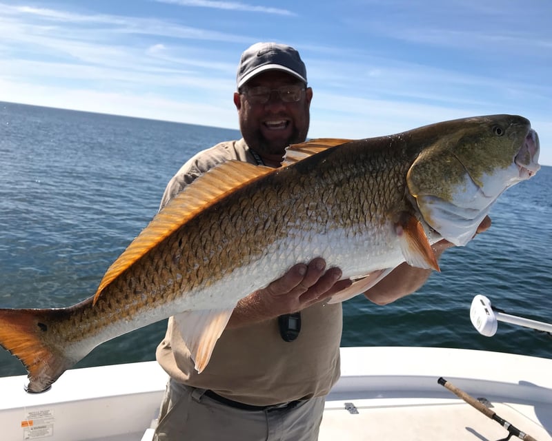 Private Fishing Charter & Dolphin Cruise in Orange Beach