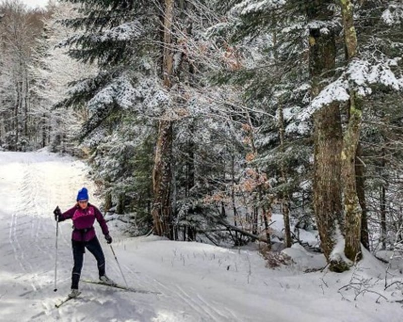 Private Cross Country Ski Tour & Lesson in Freedom, NH