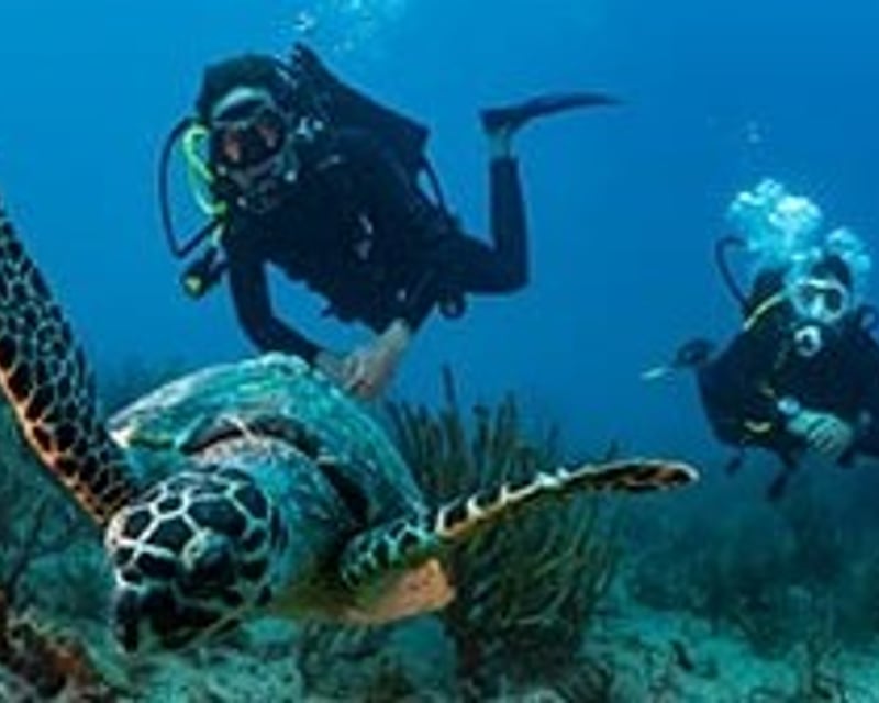 Boynton Beach 2-Reef Scuba Diving Charter