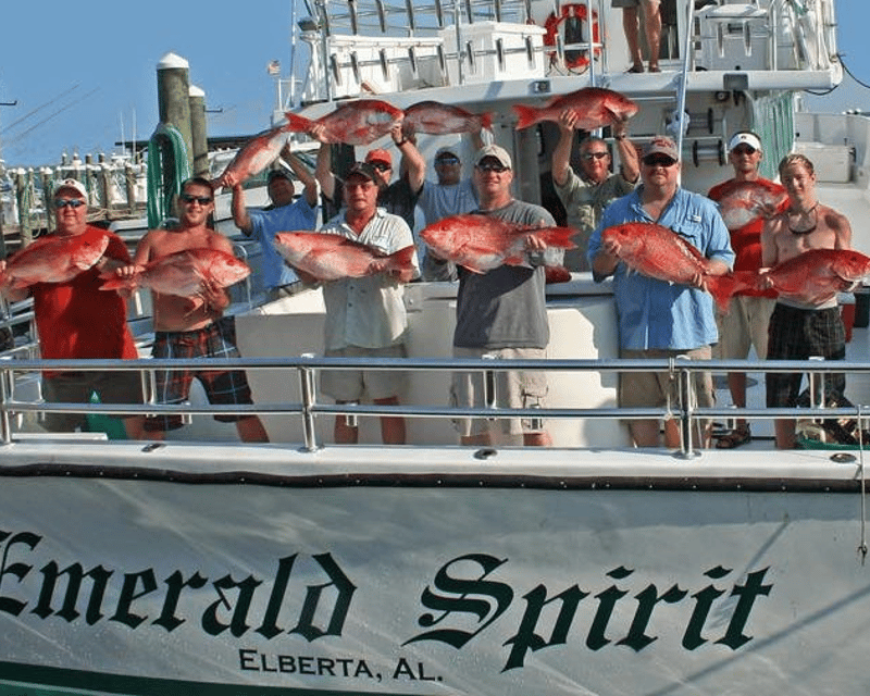 6-Hour Offshore Fishing Charter in Orange Beach