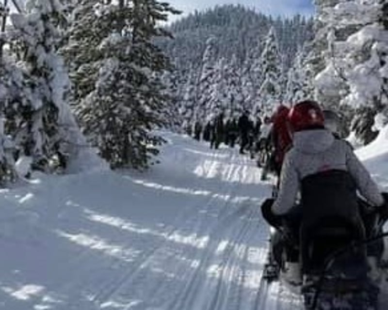 Guided Backcountry Snowmobile Tour in Cle Elum
