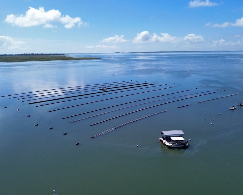 Oyster Farm Boat Tour on Tybee Island, Georgia's First Floating