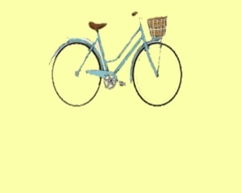 1-Day Beach Cruiser & Speed Bike Rental in Venice, FL