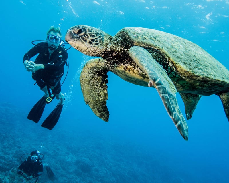 Private Intro to Scuba Reef Dive in Kaanapali