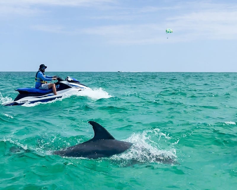 Jet Ski Dolphin Tour from HarborWalk Village in Destin