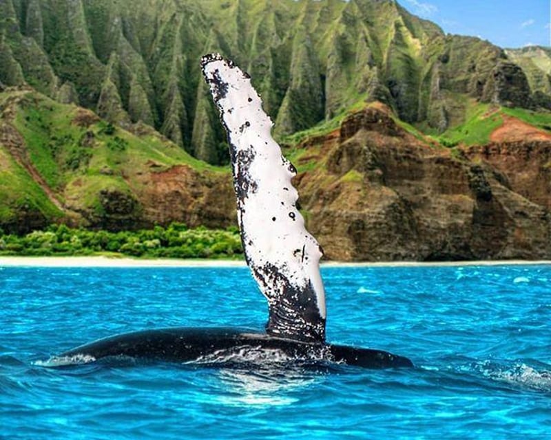 Private Custom Oahu Island Tour with Multilingual Guide