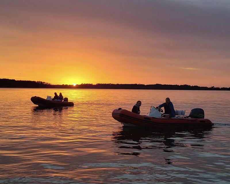 Sunset Mini Boat Dolphin Tour in Hilton Head Island
