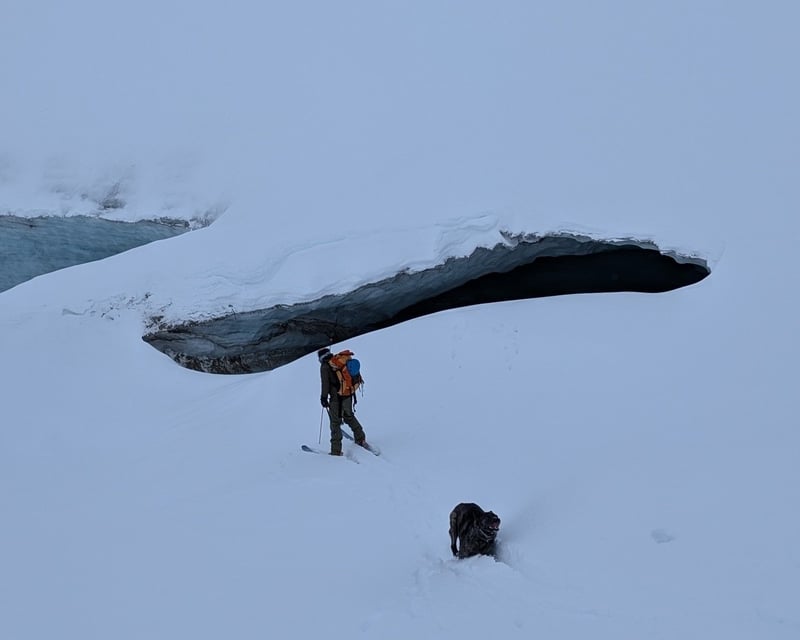 Off-Trail Backcountry Glacier Hike near Delta Junction