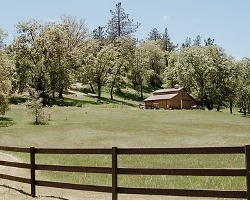 Gold Rush History Horseback Ride in Julian, CA