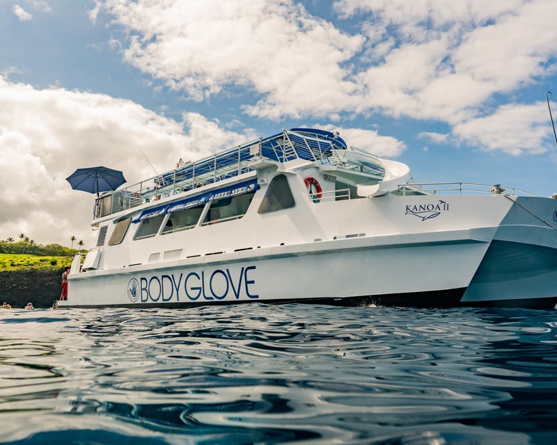 Snorkel & Dolphin Watch on a 65' Catamaran in Kona