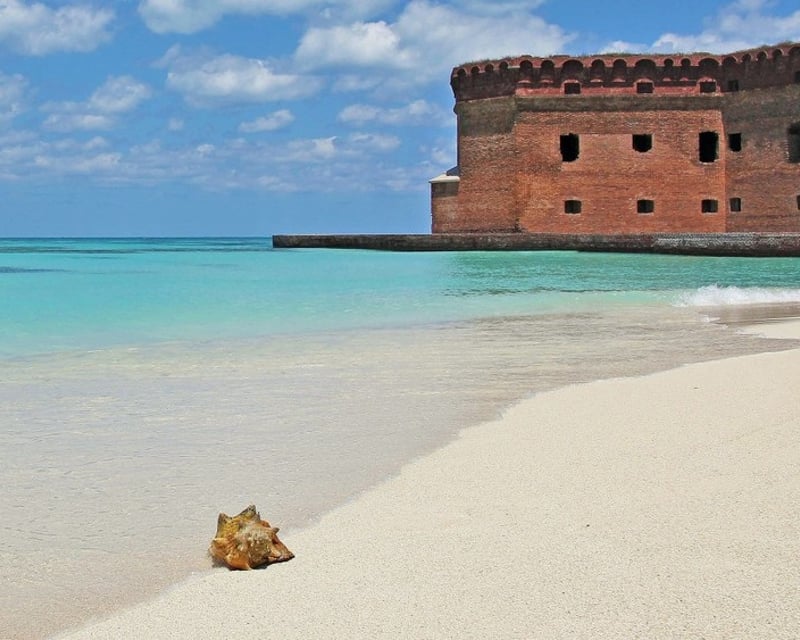 10-Hour Dry Tortugas Snorkeling Cruise