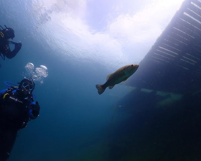 Full-Day Scuba Diving Pass at Lake Hydra, Bethlehem