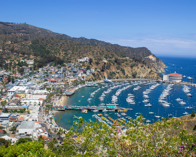Catalina Island Day Trip with Hotel Transfers & Avalon Tour