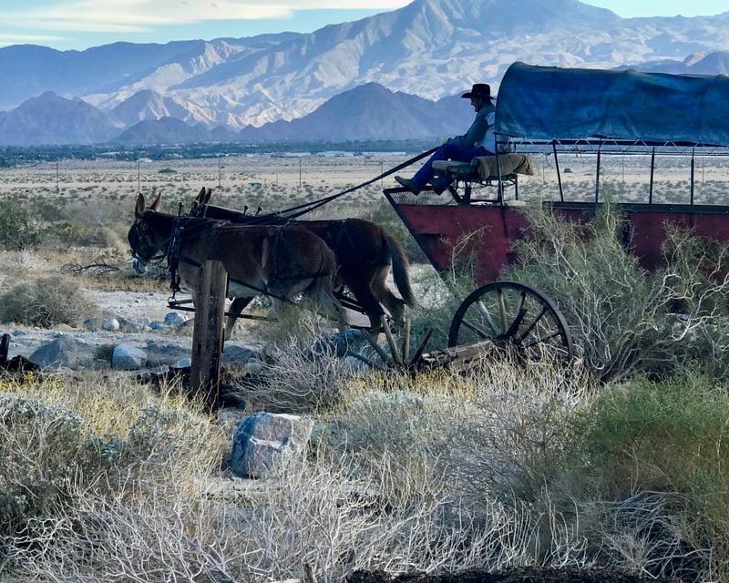 Covered Wagon Adventure Tour With BBQ