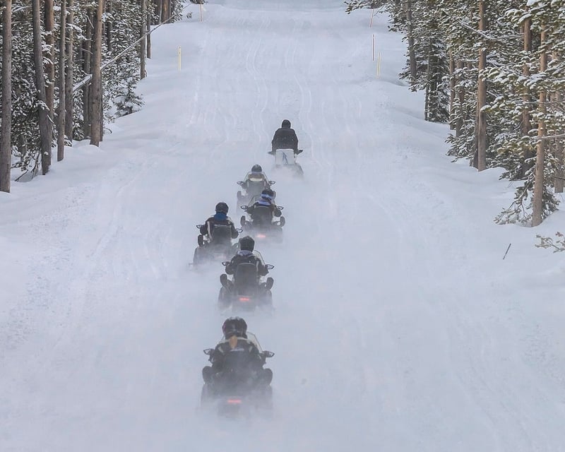 Private Canyon Snowmobile Tour in Yellowstone National Park
