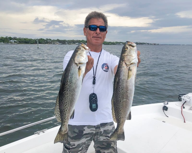 4-Hour Inshore Fishing Charter in Orange Beach