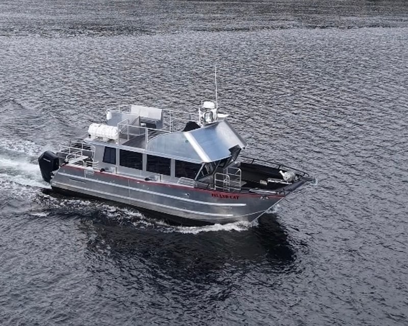 3-3.5-Hour Whale Watching Cruise in Ketchikan