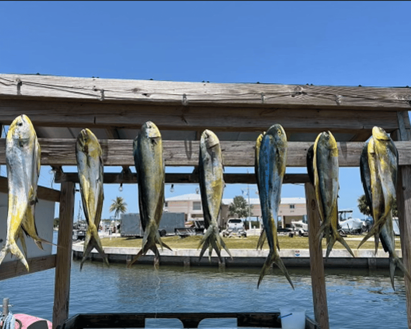 Private Full-Day Offshore Fishing Charter in Islamorada
