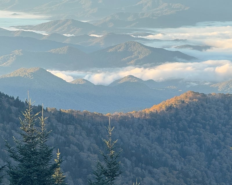 Guided Full-Day Tour of Kuwohi From Asheville
