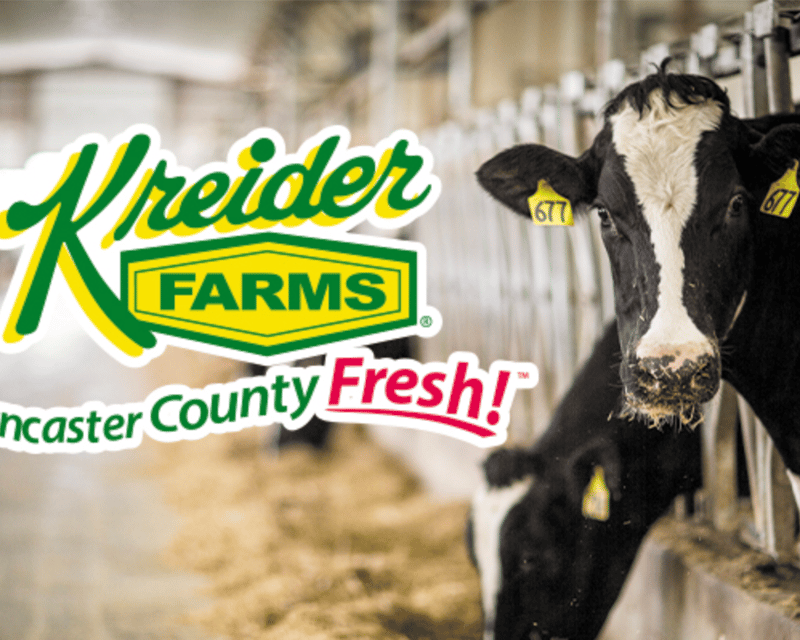 High-Tech Dairy Farm Tour in Lancaster County