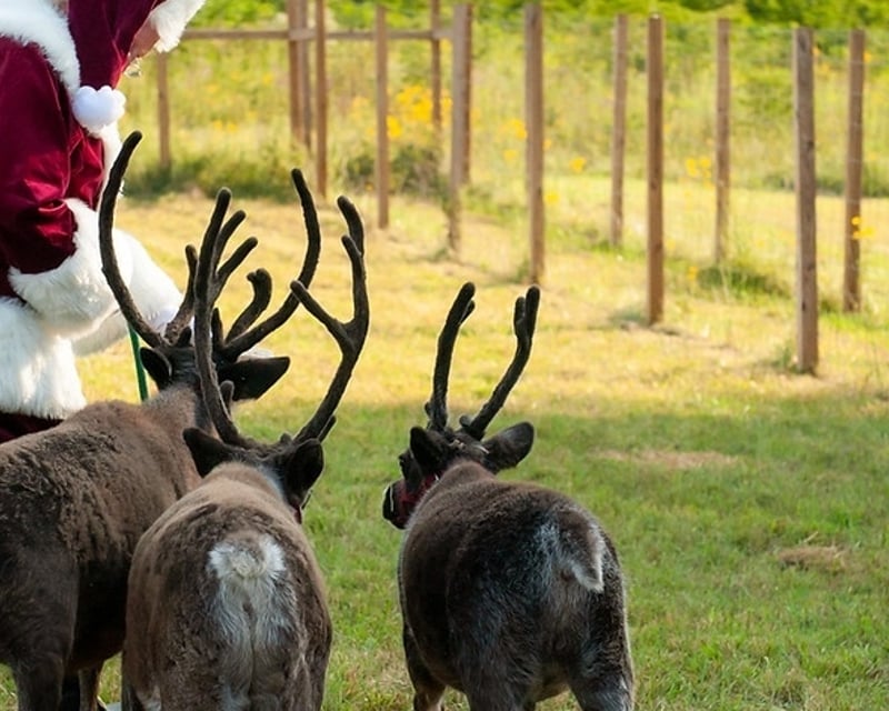 Santa & Reindeer Farm Christmas Visit near Kansas City