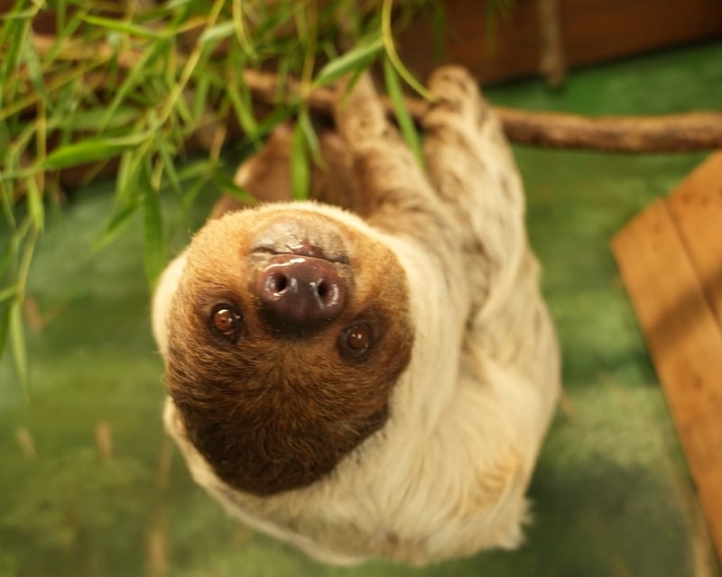 Interactive Wildlife Tour in Ethel
