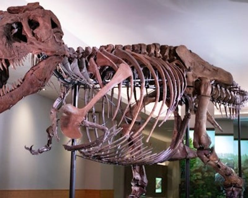 Field Museum of Natural History Admission in Chicago