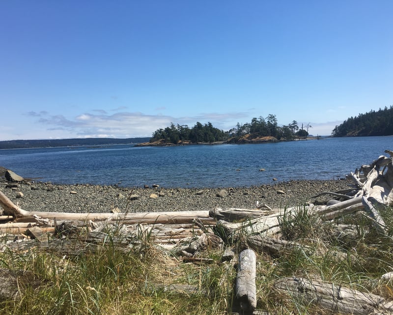 Full-Day Guided Kayak Tour in Friday Harbor