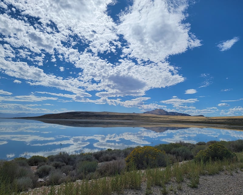 Morning E-Bike Tour in Antelope Island State Park