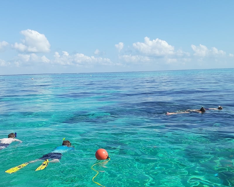 Private Snorkel Tour in John Pennekamp Coral Reef State Park