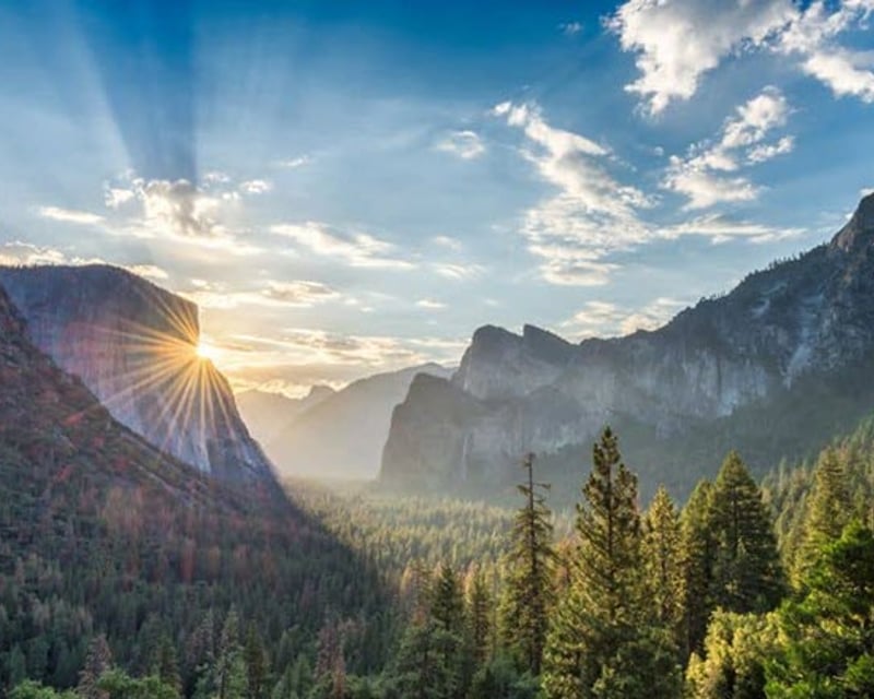 Explore Yosemite National Park on a 14-Hour Tour