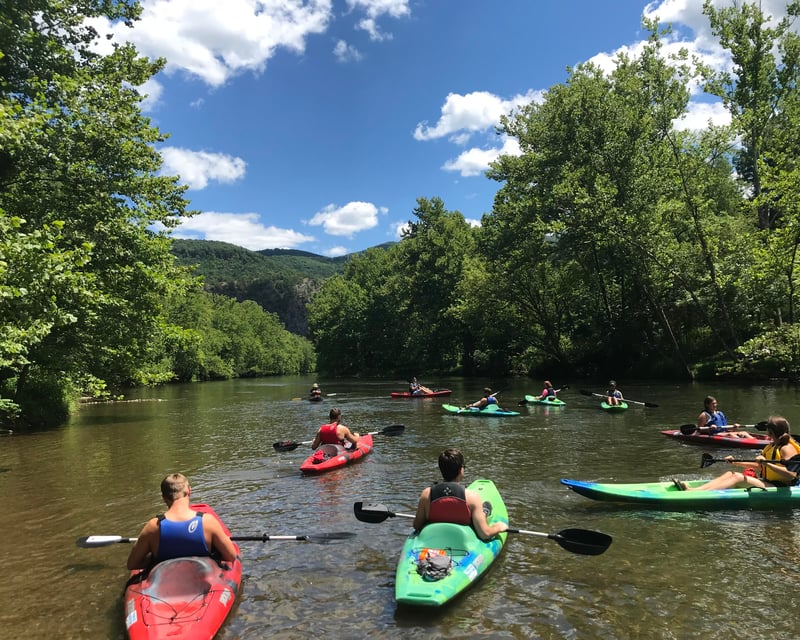10-Mile Upper Jackson River Paddle Trip in Covington