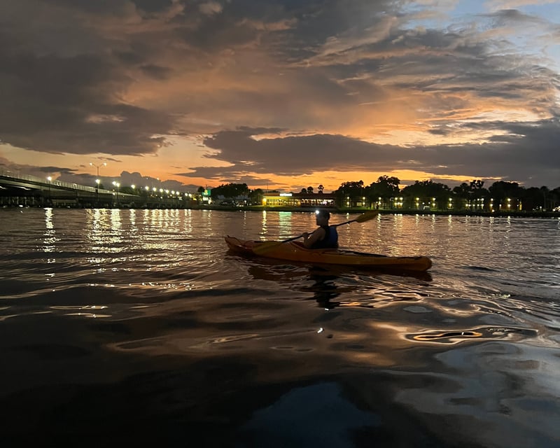 Sunset Bat Kayak Tour on the St. Johns River in Palatka