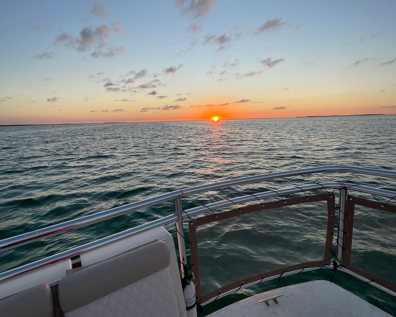 2-Hour Sunset Cruise in Tavernier