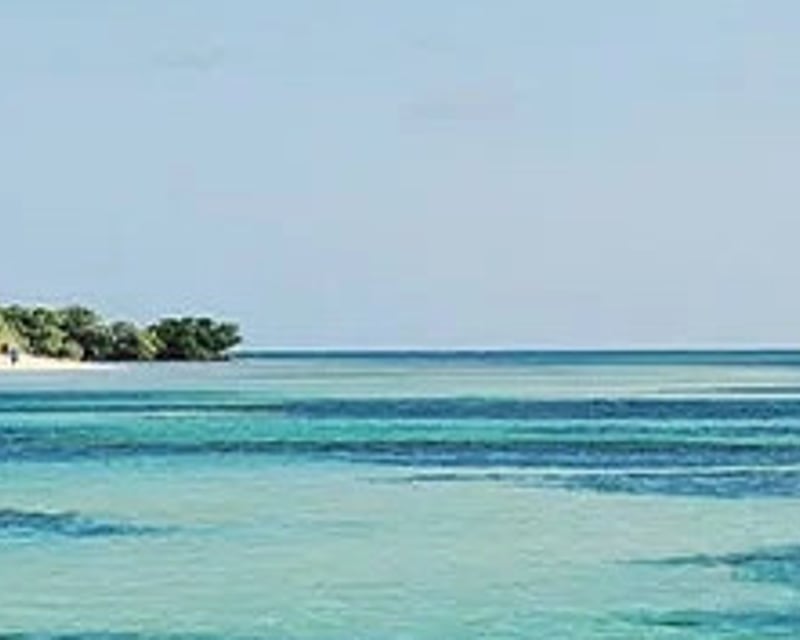 Private Sandbar & Mangrove Island Boat Charter in Key West