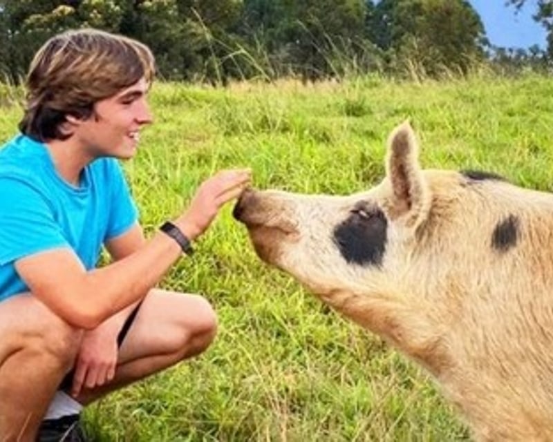 Private Farm Animal Sanctuary Tour Near Laupahoehoe
