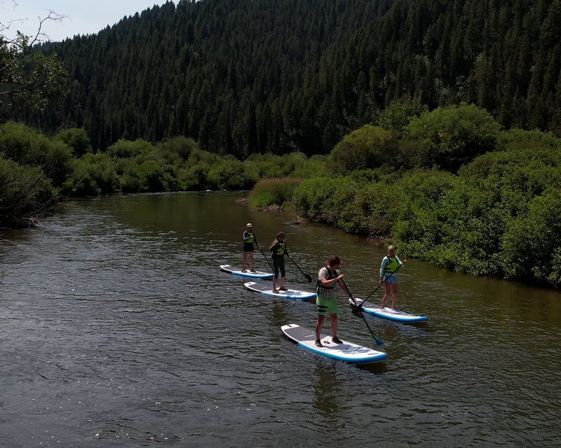 Private Salt River Paddleboard Tour in Star Valley, WY