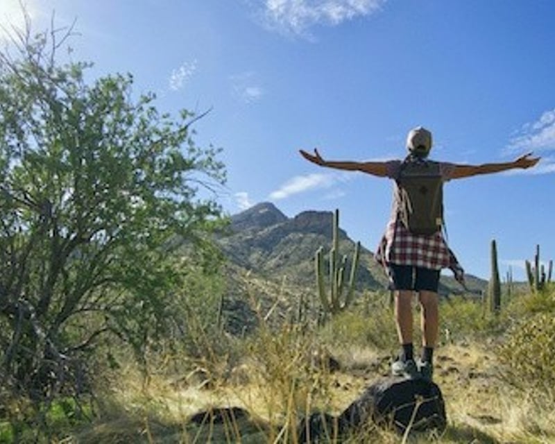 Guided McDowell Sonoran Preserve Hike in Scottsdale
