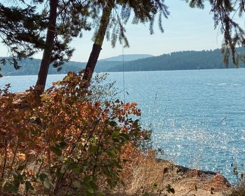 Pontoon Boat Rental on Lake Coeur d'Alene for 12