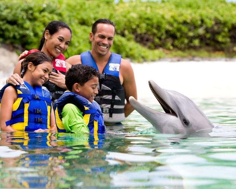 Deep-Water Dolphin Swim at Sea Life Park