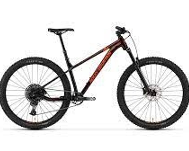 Hardtail Bike Rental in Ketchum