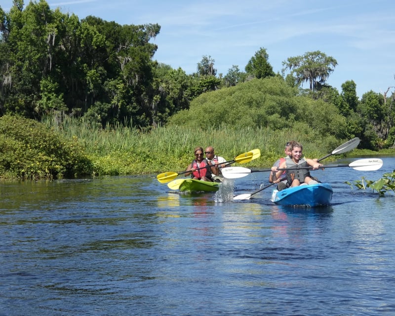Guided Wekiva River Kayak Eco Tour