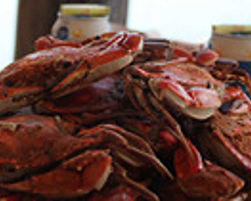 Seafood Feast Cruise To Smith Island From Crisfield