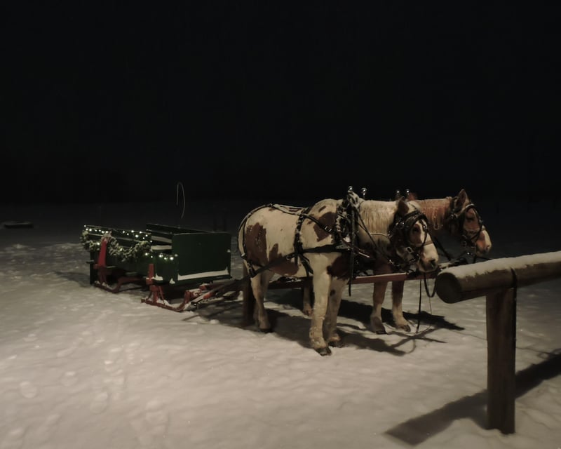 Evening Horse-Drawn Sleigh Ride & Campfire in Bozeman
