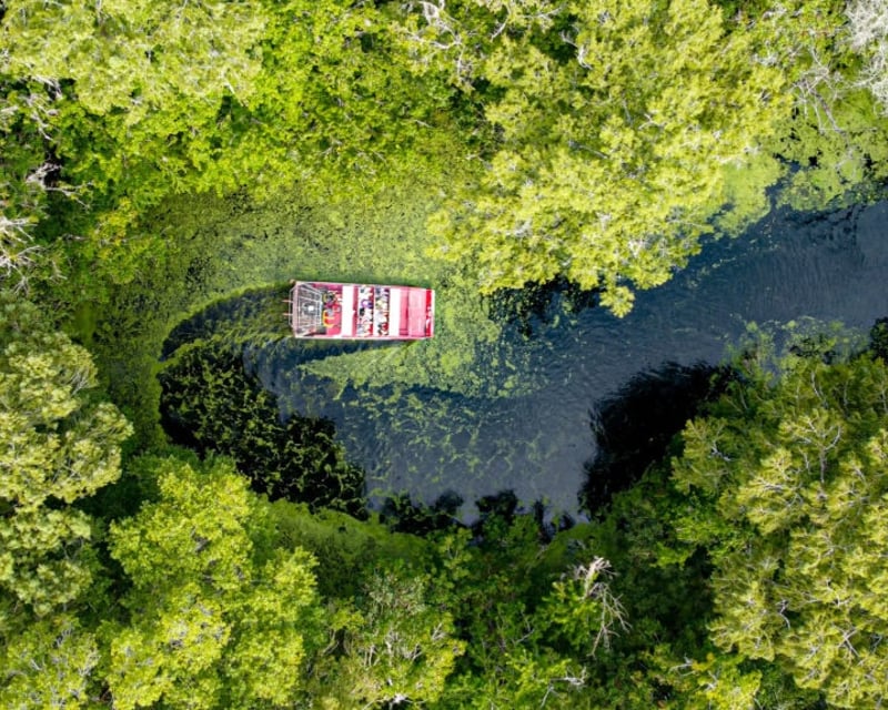 Lake Panasoffkee Airboat Tour & Wildlife Viewing