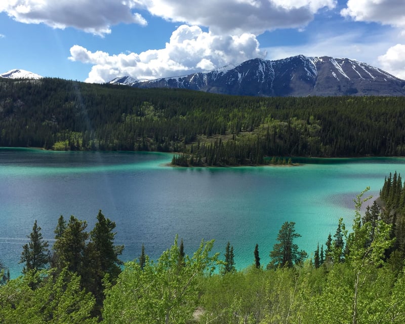 Explore The Yukon From Skagway Guided Tour