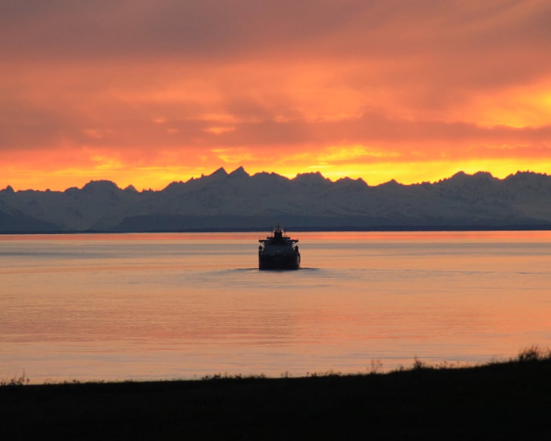 Anchorage Winter Wildlife & Turnagain Arm Sunset Tour
