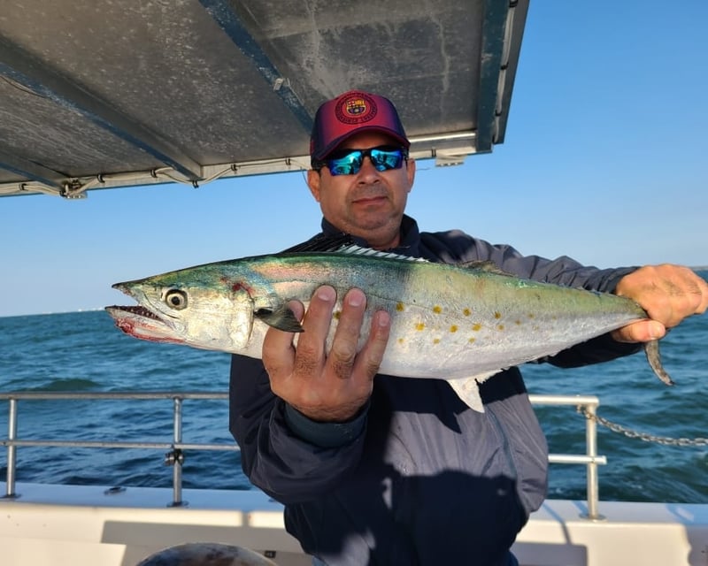 Full-Day Gulf Stream Headboat Fishing in Little River